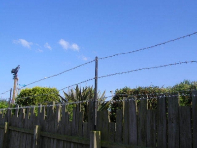 Barbed Wire