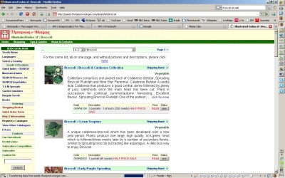 Broccoli for Sale!