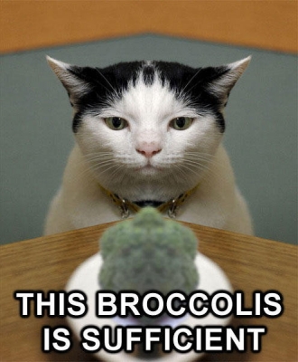 Broccoli Cat