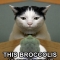 Broccoli Cat