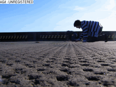 surface2.gif surface2.gif