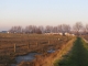 Marshes