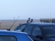 200607 135.jpg