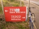 Tesco Again