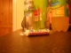 Carbonated Water