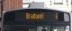 brad.jpg