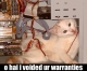 Warranty Cat!