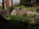Collapsed section