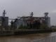 Grain Factory