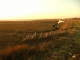Sunset Mode