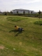 sf0 090.jpg