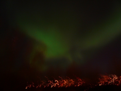 A soaring eagle...wtf?