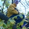Decathlon in a Tree by Borgasm Decathlon in a Tree by Borgasm