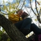 Reading in a tree