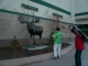 Moose!