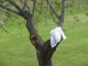My Neighbor