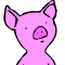 A Pig