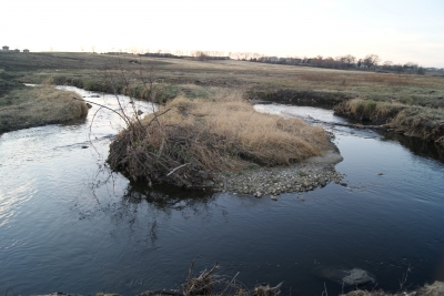 Creek of liquid doom!