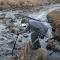DSC01559.jpg