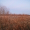 DSC01599.JPG