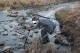 DSC01559.jpg