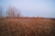DSC01599.JPG