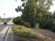 Cars pass by.