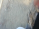 Authentic blur