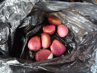 7 Nuts
