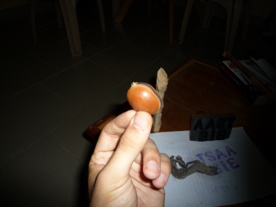 Burni-nut