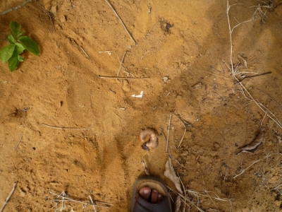 Burying the note