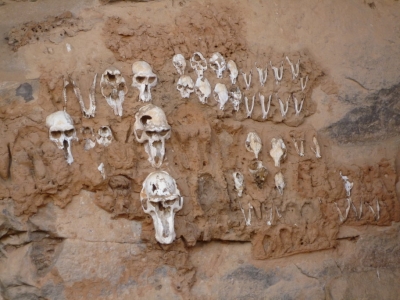 A Hunter's Funeral