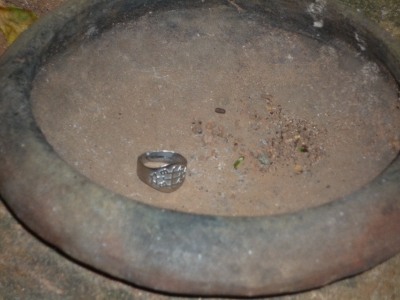 Ring Offering