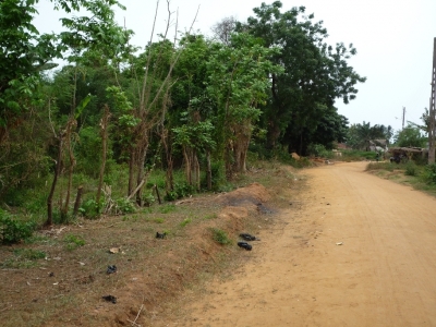 Route 6