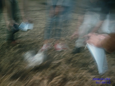 Action Shot Action Shot