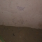 The phone's burial place (a little closer)