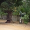 Route 10