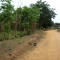 Route 6