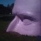 Purple! Purple!