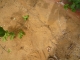 Digging the hole