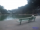 Old man by the pond