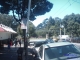 The Haight