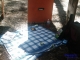 My camp