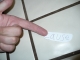 P1000669.JPG
