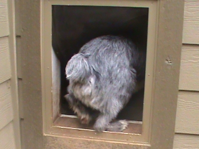 DSC00350.JPG
