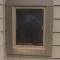 The Doggie Door...