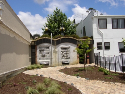 kawakawa8.jpg