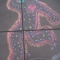 n512861596_755865_483.jpg