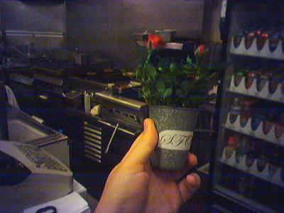 Plant!