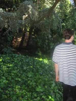 A better shot of the way in A better shot of the way in